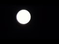 Moon up close using a simple camcorder!