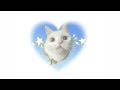 Cat playlist - Chilling with meow meow