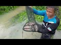 Ngetan pukat musim Ikan nyaru arang@ngaban //Tahan pukat musim ikan keluarkan telur