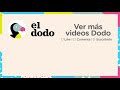 Cachorrito es resucitado después de muerto | El Dodo