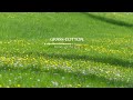 [Piano] A piano song with a green hue that resembles May.  l GRASS COTTON+