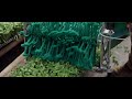 PROFITABLE farm growing lettuce in 20 CATERPILLAR TUNNELS year-round!