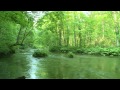 Japan Mountain Stream 1 Hour Series ① - Relaxing Background Music,  Poetry of Water