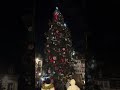 Beautiful Christmas tree lighting along with music in Strassbourg, France Christmas market