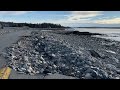 Seawall damage ￼