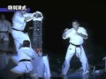 【新極真会】代表・緑健児世界大会演武 SHINKYOKUSHINKAI : KENJI MIDORI KARATE ENBU