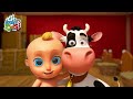 🐤🐥Los Pollitos Dicen Pio Pio + La Vaca Lola - Canciones Infantiles para niños - LooLoo Kids