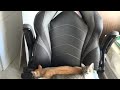 Office Chairs are for Kittens