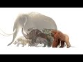 Extinct Species Vocalization Study (2023) | Cenozoic Era