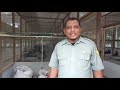 Ternak Ayam Kampung Unggul| Pembuatan Pakan dedak fermentasi untuk ayam KUB petelur maupun pedaging