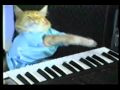 Play him off, keyboard cat