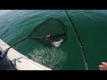 Fluke (Summer Flounder) Limit and Stripers + First Time On New Boat!