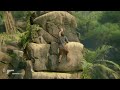 Uncharted 4: A Thief’s End Walkthrough Gameplay Chapter 13: Marooned