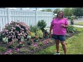 New Proven Winner Annuals for 2025 Garden Tour Early July