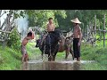 Instrumental Chinese Music with Scenic Footage of China | Travel Video