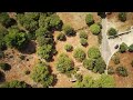 Terreno in Contrada Torchiano a Monopoli 0157 - Drone
