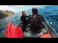 Free Diving for Packhorse Crays (The biggest Lobsters in the world)