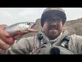 How To Jig for Kokanee