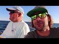 NEWPORT BERMUDA RACE (635 miles) 1/2 |  VLOG 88