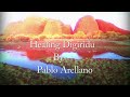 One Hour Didgeridoo for Meditation Healing and Relaxing Music