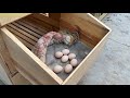 How to Build a Backyard Chicken Coop | DIY Chicken Coop