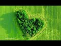 Soothing Music For Nerves  🌿  Soothing Music With Nature Sound And Calm The Mind