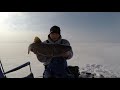 Simcoe Lake Trout January 2018