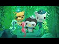Octonauts - The Mysterious Map | Cartoons for Kids | Underwater Sea Education
