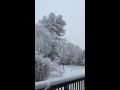 Winter Storm Lexi, West Hartford, Connecticut, USA {February 5, 2016}