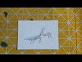 Repair man | Hướng dẫn cách cắt dán và vẽ đồ vật, con vật đơn giản bằng giấy: CON BỌ NGỰA MÀU XANH