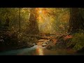 Celtic Forest Fairy Music * Relax, Create, Write, Game, NaNoWriMo, Preptober * Fantasy Ambient ASMR