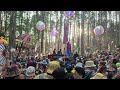 LEVITY at ELECTRIC FOREST 2024 - FULL (HONEYCOMB) SET!