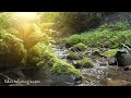 Calming Music for Stress, Anxiety, and Depression Relief Healing Sounds to Soothe the Mind and Body