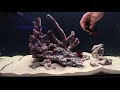 Seahorse Macro Algae Tank, Part 3 | with Matthew of MyFirstFishTank.com