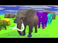 Paint & Animals Cow,Mammoth,Gorilla,Lion,Duck,Camel Fountain Crossing Transformation Animal Cartoon