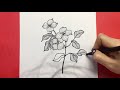 30 Line Drawing Flowers / Black and White Arts