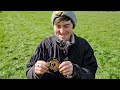 Discovery of Remarkable Coins & Artefacts| a Potential Roman Site? - Metal Detecting UK