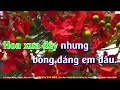 Karaoke Lưu Bút Ngày Xanh Tone Nữ Gõ Bo | Trương Văn Điệp