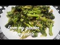 BROCCOLI from my GARDEN to my PLATE. Stir Fry Broccoli 🥦🥦😋