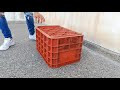 Pigeon Trap - How To Trap_Best Bird Trap-Catch Pigeons