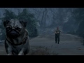 High Value Pug - Grand Theft Auto V