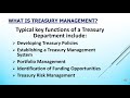 Treasury Management Best Practices