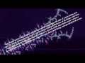 EXTENDED Terraria Calamity Mod Music - 