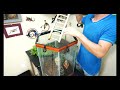 Mourning Gecko Care 101 (with basic cage setup)