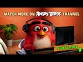 Angry Birds | Spend The Day With Bomb!