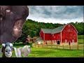 Goat Shed Video