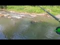 Mancing wader di spot favorit || bikin emosi @enjoymancingchannel3403