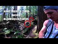 Are multiple Squatches following and watching B.C Squatches?  Bigfoot sounds of surveillance