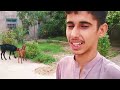 Tofani barish mein enjoy kiya🌩🌧 | Village life in pakistan | Rural life pakistan | Family Vlogs