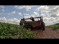 Starting A BIG Potato Harvest